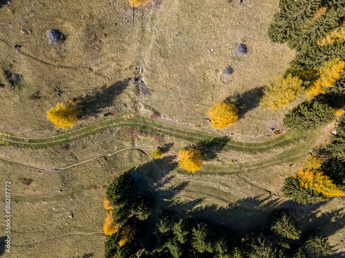 Fototapeta Naklejka Na Ścianę i Meble -  Aerial view of hiking trail in Swiss mountains. Fall colors with yellow conifer trees.