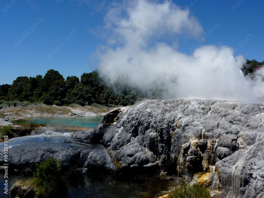 landscape of hot geotermal area with colored water and mud, New Zealand landscape of hot geotermal area with colored water and mud, New Zealand