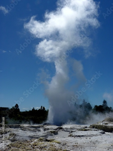 gush spring in geotermal area park in Rotorua, New Zealand