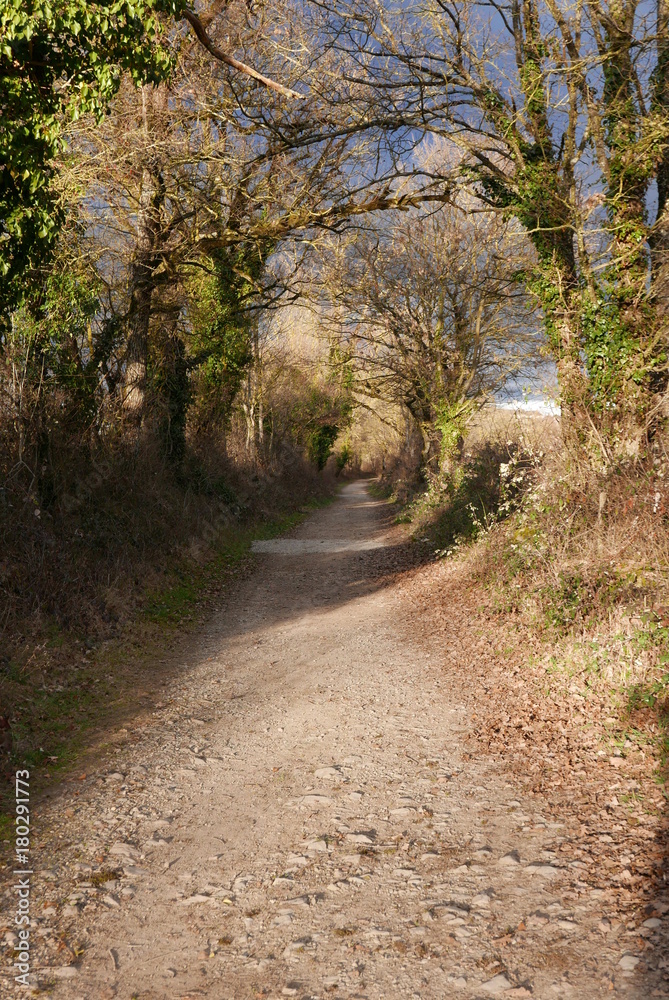 sur le chemin de la nature sur le chemin de la nature