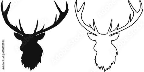 TÊTE DE CARIBOU