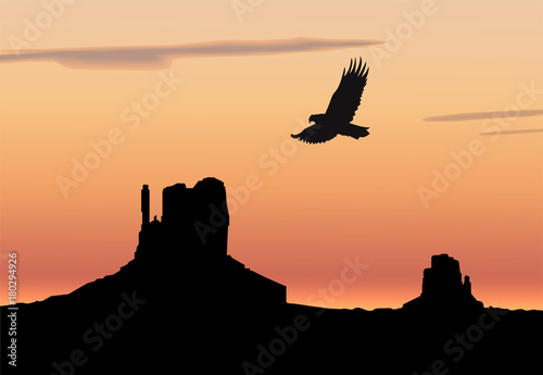 Landscape background. Western desert. Rocks. Flying eagle. Colorful sky.