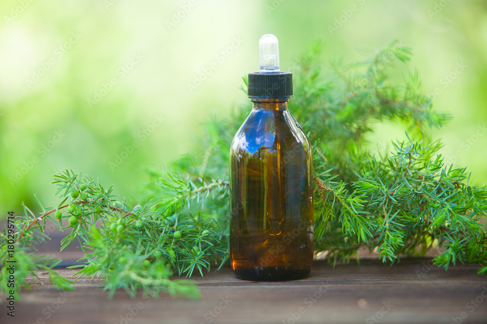 Essence of pine on table in beautiful glass jar Essence of pine on table in beautiful glass jar