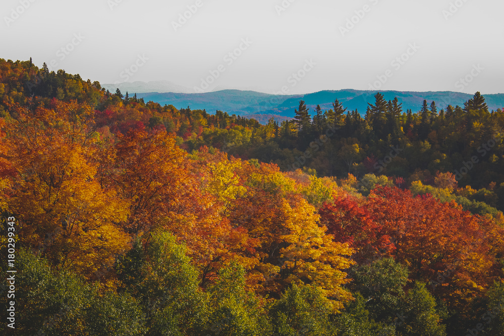 Mont Tremblant Fall Foliage