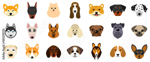 Fototapeta Naklejka Na Ścianę i Meble -  Set Heads of Dogs, Collection Different Breeds of Canines, Isolated on White Background