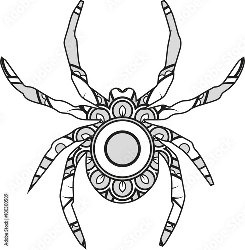 Vector illustration of a mandala spider silhouette