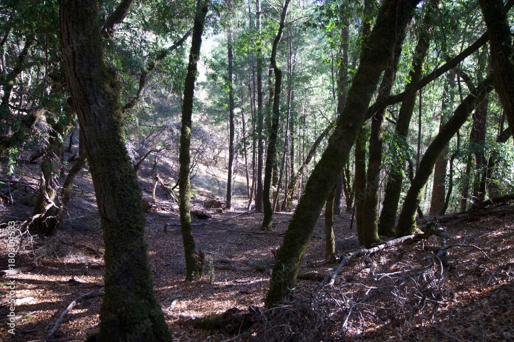 Austin Creek State Recreation Area - park encompassing an isolated wilderness area. Its includes ravines, grassy hillsides, oak-capped knolls, and rocky summits offering glimpses offering glimpses. Austin Creek State Recreation Area - park encompassing an isolated wilderness area. Its includes ravines, grassy hillsides, oak-capped knolls, and rocky summits offering glimpses offering glimpses.