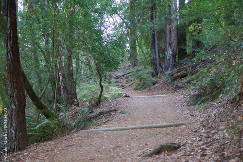 Austin Creek State Recreation Area - park encompassing an isolated wilderness area. Its includes ravines, grassy hillsides, oak-capped knolls, and rocky summits offering glimpses offering glimpses.