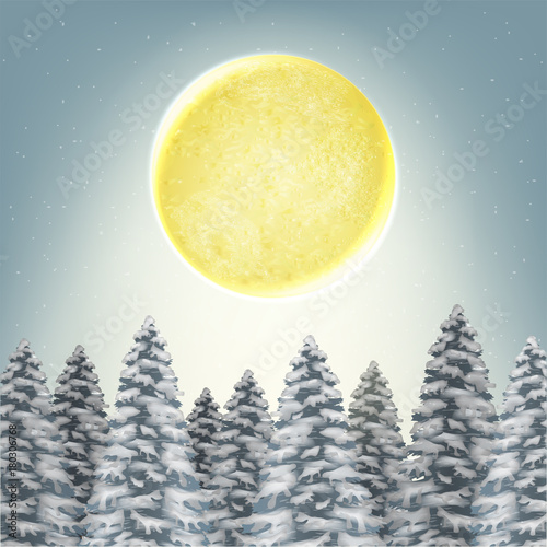 full moon with top of pine forest and snow winter