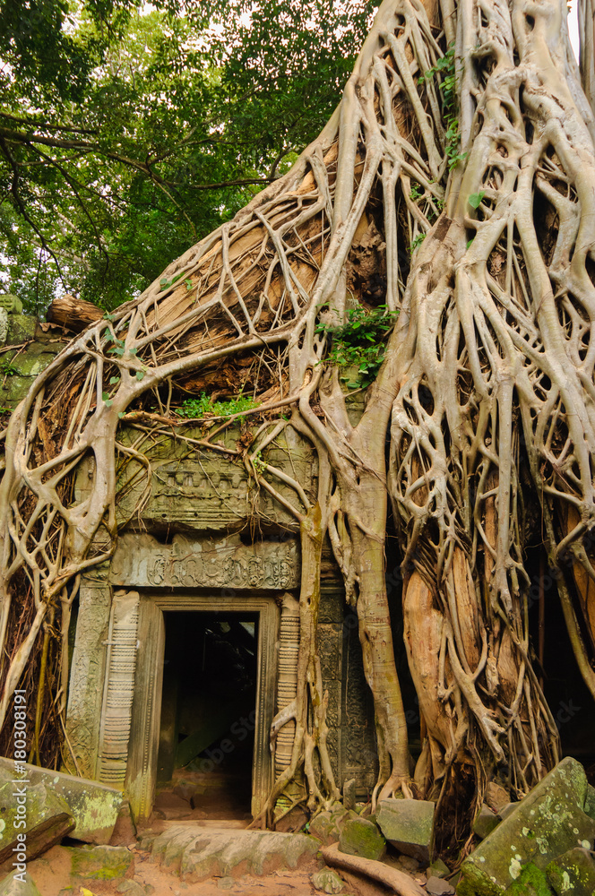 タ・プローム遺跡