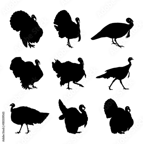 Turkey silhouette set