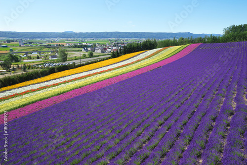 furano5
