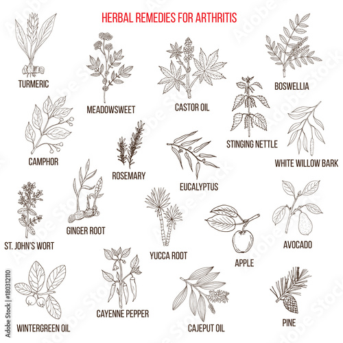 Best herbal remedies for arthriris