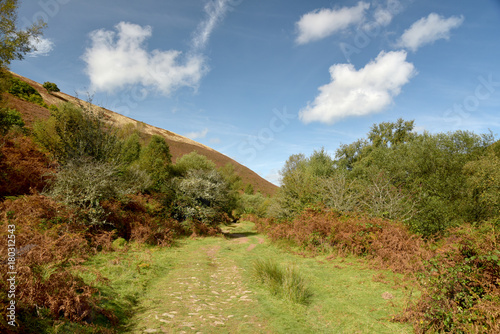 Path in Doone Valley, Exmoor, North Devon photo