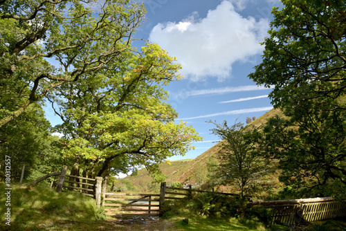 Path in Doone Valley, Exmoor, North Devon