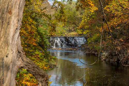 Orange  Yellow  and Green Foliage Reflected in a River with a Waterfall Background