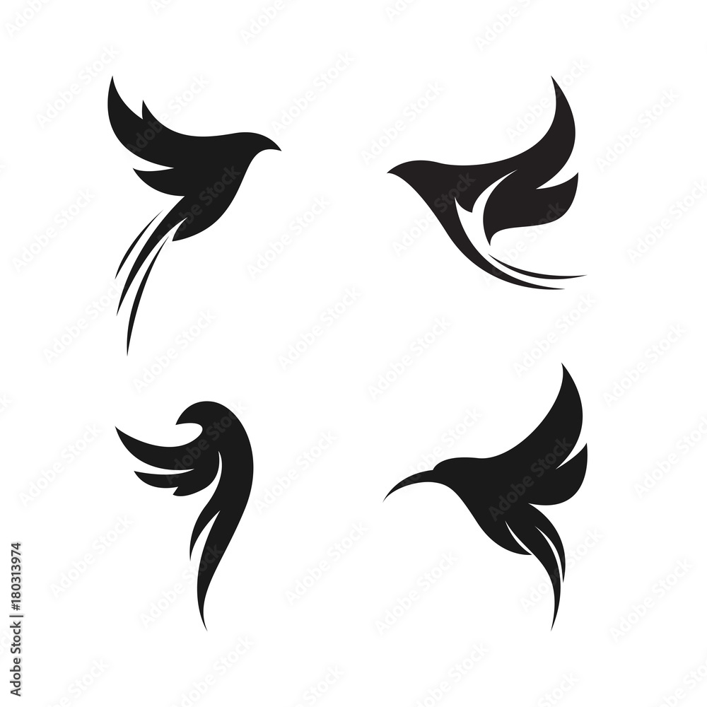 beautiful bird logo template