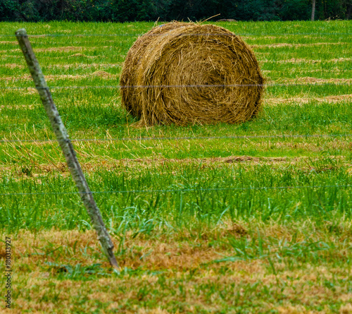 Straw Hued Hay Bale on a Field of Grass