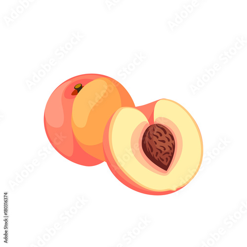 Summer fruits for healthy lifestyle. Ripe peach, whole fruit and half. Vector illustration cartoon flat icon isolated on white.