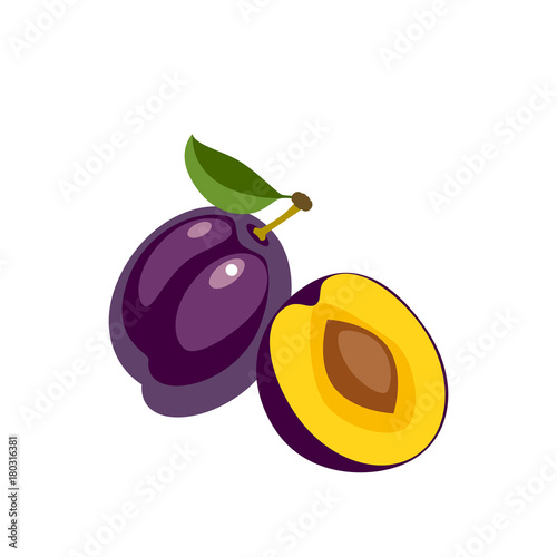 Summer fruits for healthy lifestyle. Violet plum, whole fruit and half. Vector illustration cartoon flat icon isolated on white.