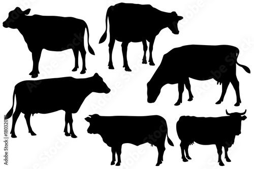 cow farm silhouette set photo