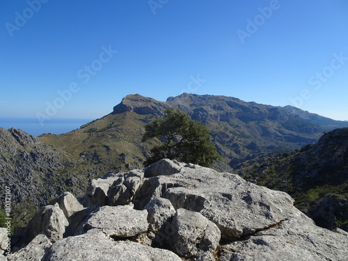 Lovely nature on the way to Sa Calobra, Mallorca © places-4-you