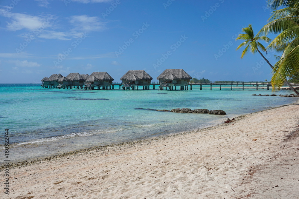 Tropical sandy beach with thatched bungalows on stilts in the lagoon, Tikehau atoll, Tuamotus, French Polynesia, south Pacific ocean, Oceania