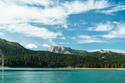 Mountain lake and evergreen coniferous forest. Black Lake  Durmitor  Montenegro.