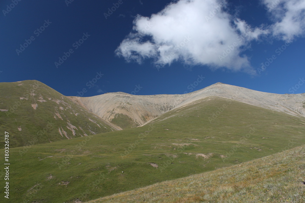 Mountain meadows of Kavkaz