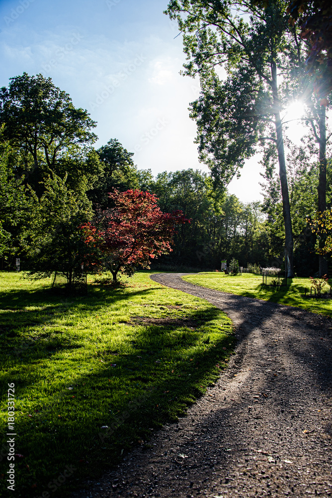 Obraz premium Westerburt Sunset