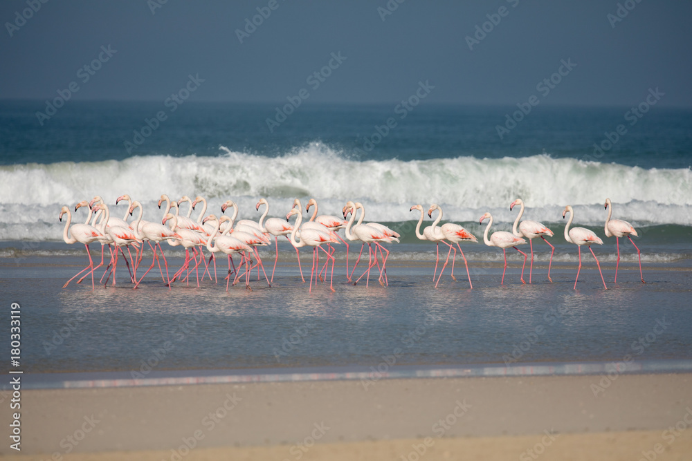 Fototapeta premium De Mond Nationalpark, Südafrika