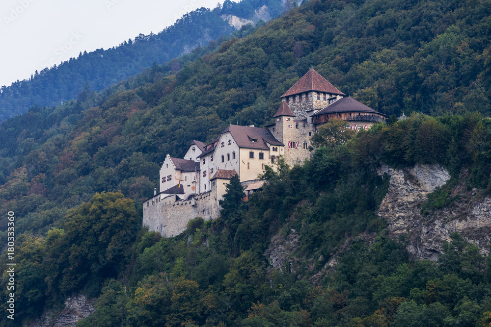 Vaduz Castle. Castle on the hill landscape. Vaduz, Liechtenstein, Europe.