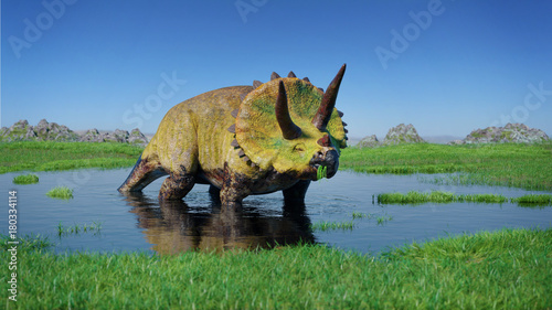 Triceratops horridus dinosaur from the Jurassic era eating water plants (3d illustration) photo