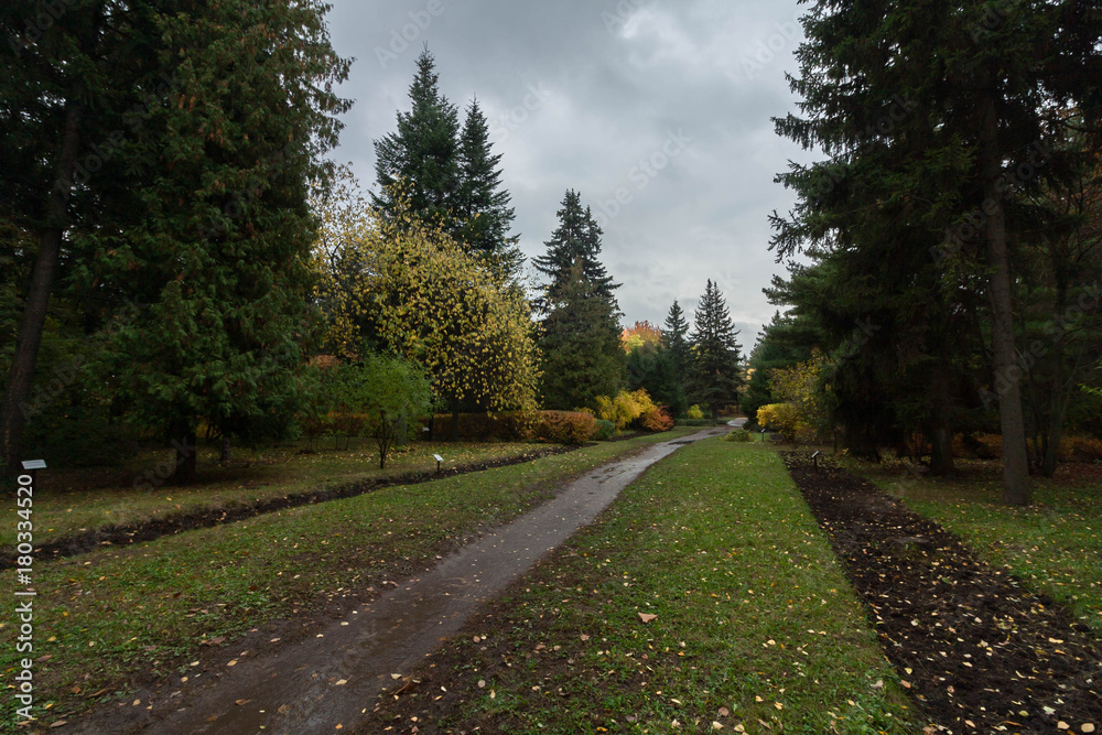 Fall in Voronezh