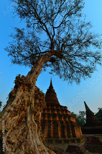 Sukhothai world heritage