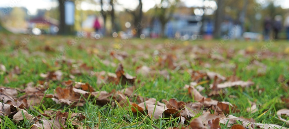 Herbst