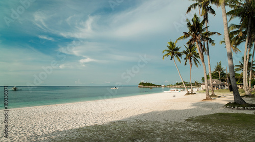 Fototapeta Naklejka Na Ścianę i Meble -  Palms on paradise beaches - Malapascua Island - Philippines 
