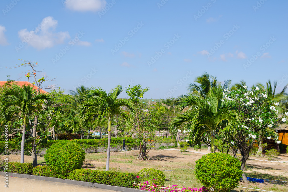 Fototapeta premium tropical garden
