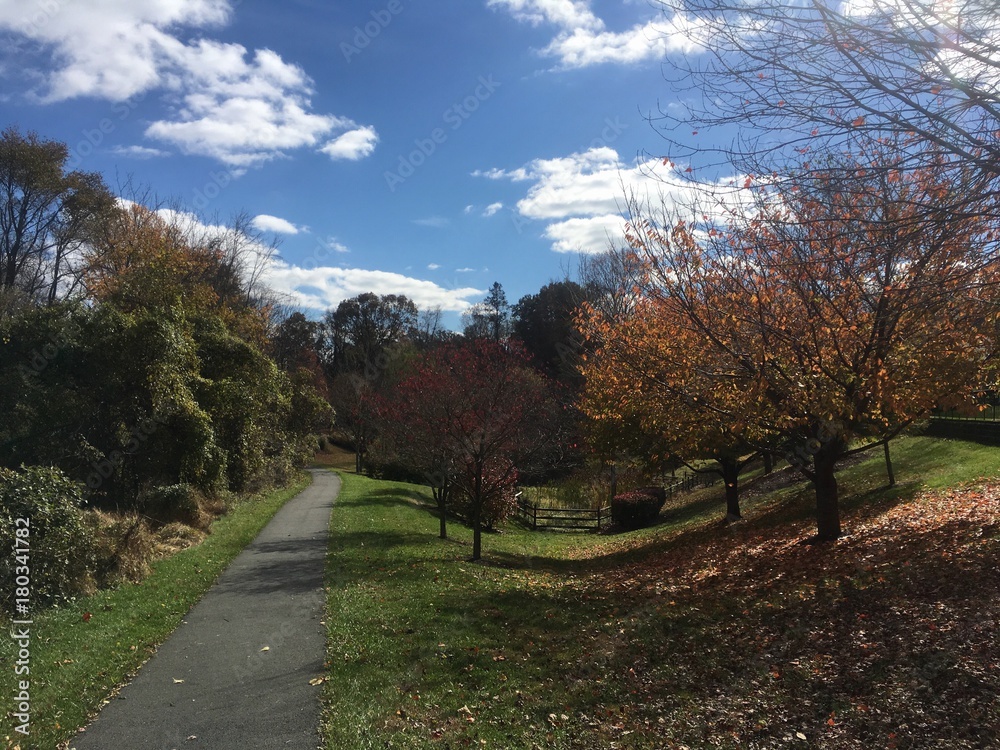 beautiful walk path under blue fall sky with clouds