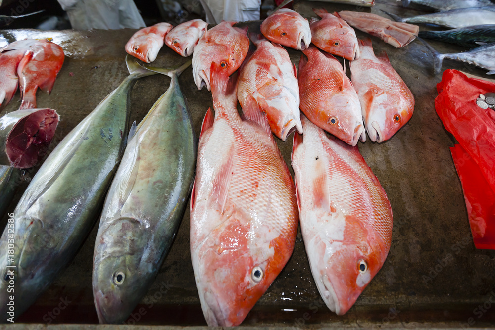 Red Snapper werden auf dem lebhaften Fischmarkt  Sir Selwyn Clarke Markt an der Market Street angeboten, Victoria,  Insel Mahe, Seychellen, indischer Ozean, Afrika