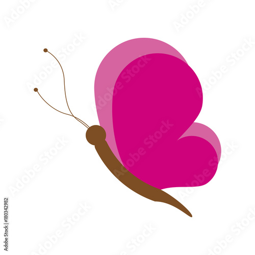 Fototapeta Naklejka Na Ścianę i Meble -  Beautiful buttefly symbol icon vector illustration graphic design