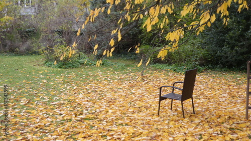 Sorrow, grief, missing person - Empty chair in a nice autumn garden