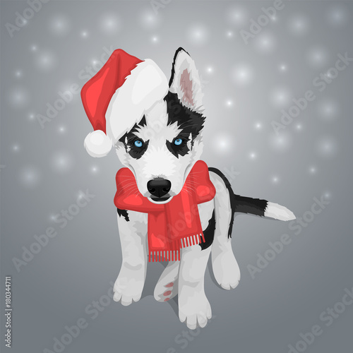 Puppy portrait in a red Santa's hat. Black and white Siberian husky with blue eyes. Merry Christmas and Happy New Year. The dog is a symbol of 2018. Vector illustration