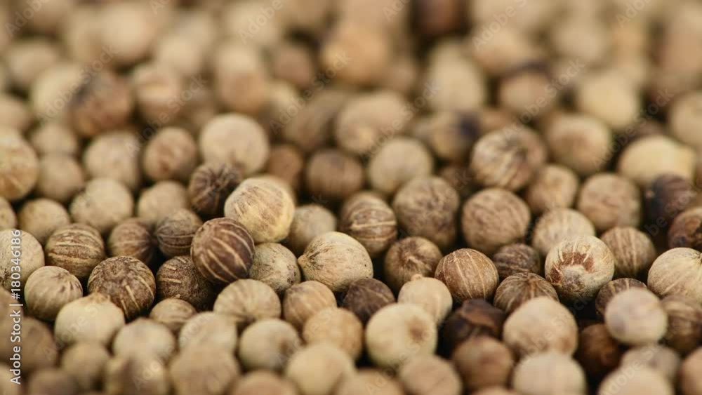 White Pepper rotating on a wooden plate (not loopable; 4K) White Pepper rotating on a wooden plate (not loopable; 4K)