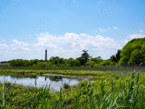Lighthouse Across Marsh, Cape May Lighthouse, New Jersey