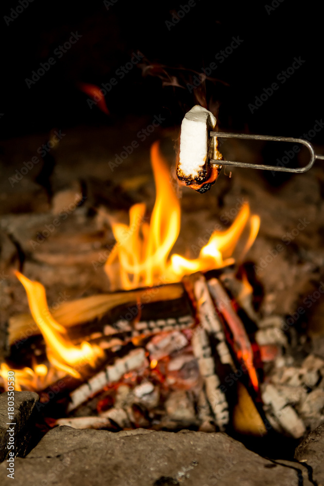 Cooking Marshmallows on the campfire