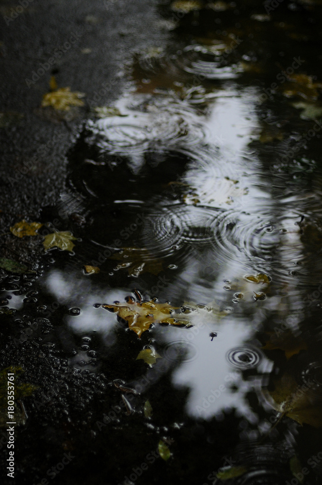 Obraz premium It raining