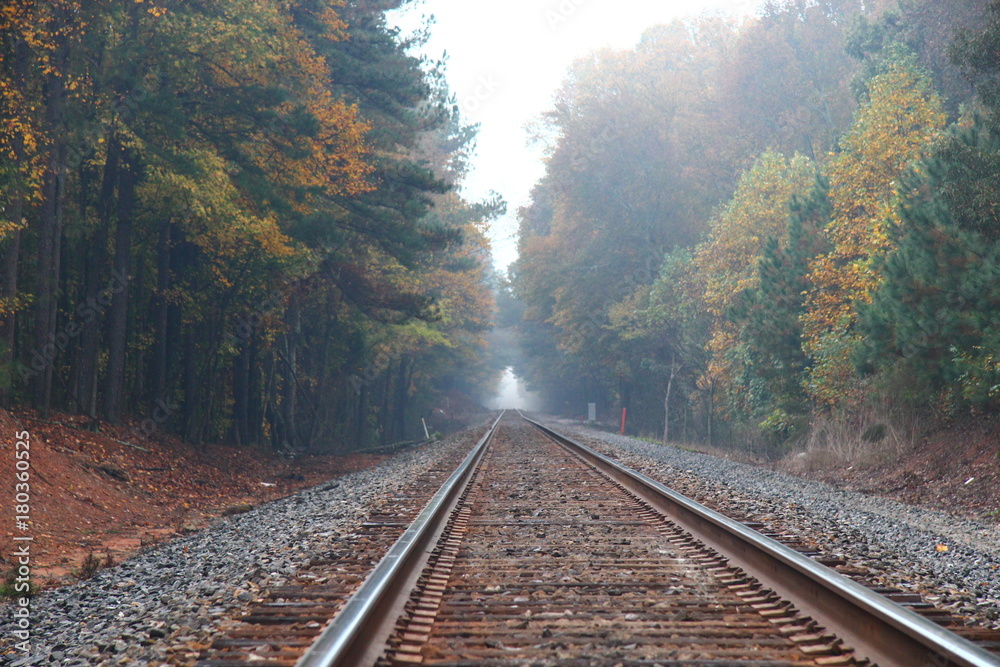 Fototapeta premium Train tracks 