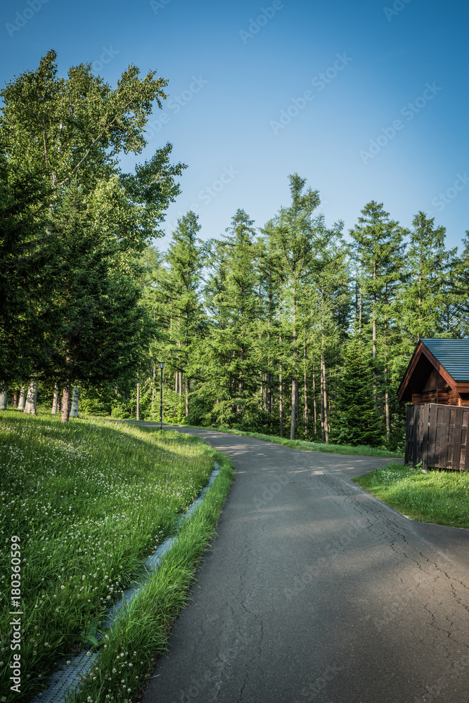 Tranquil Street And Natural View Tranquil Street And Natural View