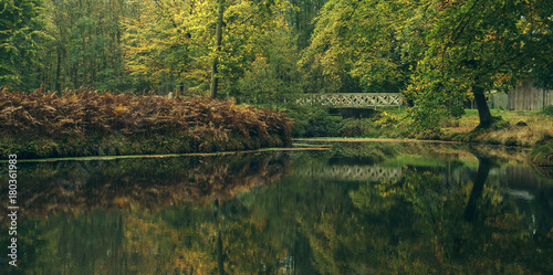 Pond with bridge in autumn forest. Wildlifepark Dulmen  Germany.